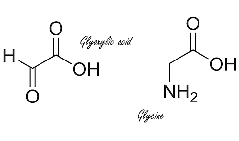 Glyoxylzuur is een metaboliet van glycine, die ontstaat als het lichaam glycine omzetten in energie. Volgens Japans in vitro-onderzoek heeft glyoxylzuur een anabole en een antikatabole werking.