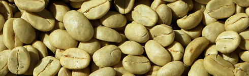 Het anti-diabeteseffect van Green Coffee Bean