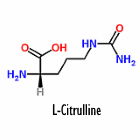 Als je 's nachts voordat je gaat slapen een flinke portie van het aminozuur L-citrulline inneemt, houd je misschien makkelijker spiermassa vast als je laag in je kilocalorieen zit en je vetmassa wilt kwijtraken. Als je tenminste net zo op L-citrulline reageert als de ratten waarmee onderzoekers van de Universite Paris Descartes proeven deden. De Fransen hebben hun experimenten gepubliceerd in Amino Acids.