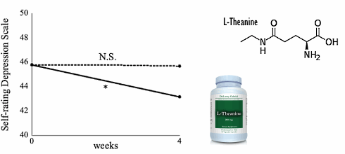 L-Theanine, de volledige stressbuster