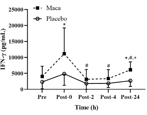 Maca activeert het immuunsysteem tijdens intensieve inspanning