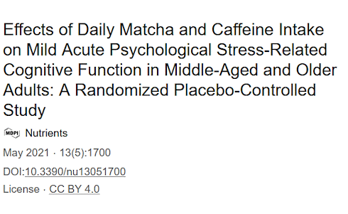 Vijftigplussers die merken dat ze zich moeilijker kunnen concentreren en een lager werktempo hebben dan toen ze jonger waren, verbeteren hun cognitieve vermogens als ze dagelijks een kop matcha drinken. Dat suggereert een kleine trial die een paar jaar geleden verscheen in Nutrients.