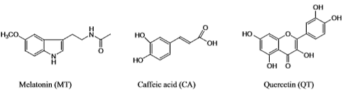 Quercetine en caffeic acid maken melatonine effectiever