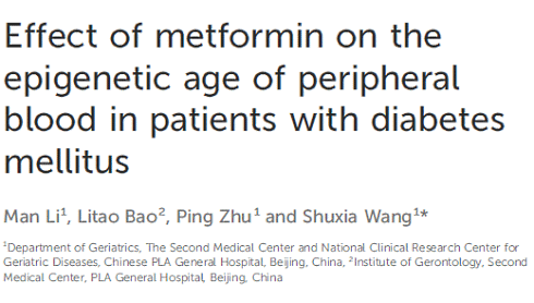 Metformine, een oud diabetesmedicijn dat de levensduur verlengt