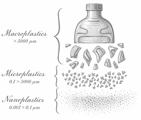 Chitosan blokkeert opname van microplastics uit voeding