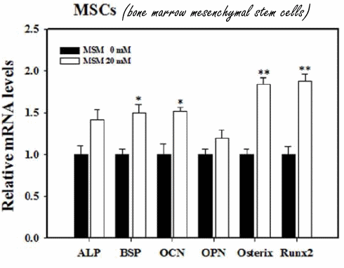 MSM, groeihormoon en IGF-1 | Sterke botten, sterke spieren?
