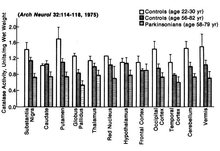 Marjolein temt oxidatieve stress bij Parkinson