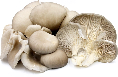 Eet paddenstoelen en verminder je kans op prostaatkanker