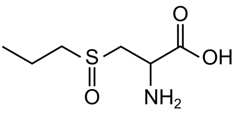 Combinatie ui en knoflook houdt griep en verkoudheid buiten de deur