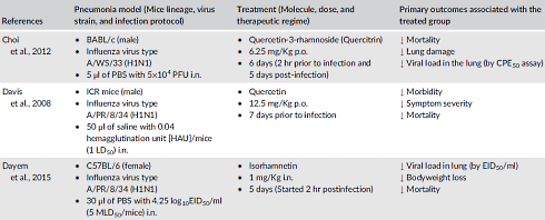 Ook analogen van quercetine beschermen tegen virussen