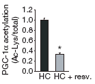 Effect van resveratrol op PGC-1-alfa