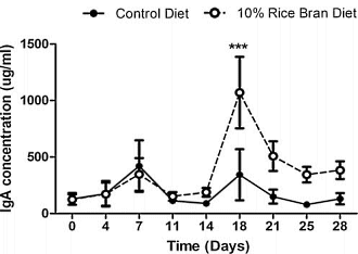 Voedingsvezels in rijst stimuleren aanmaak antilichamen