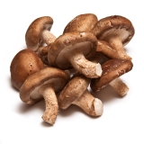 Glucanen uit paddenstoelen beschermen tegen virusinfectie