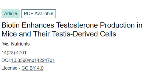 Fikse dosis biotine voor meer testosteron | Dierstudie