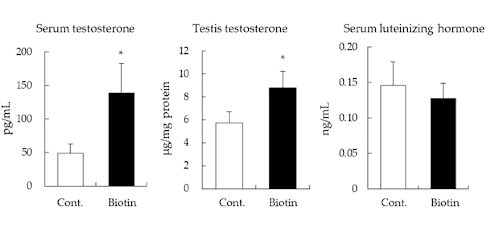 Fikse dosis biotine voor meer testosteron | Dierstudie