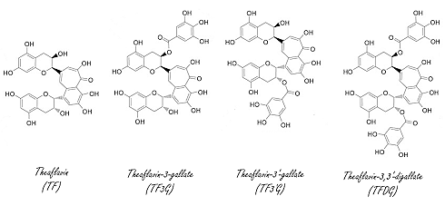 Zwarte thee beschermt de huid tegen zonlicht & remt veroudering | In vitro-studie