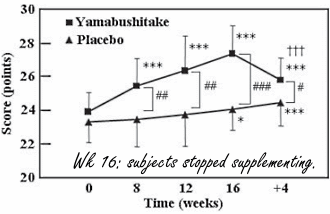 Humane studie: Yambushitake maakt afgetakelde hersenen weer beter