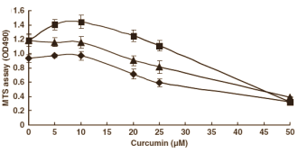 Mix van curcumin, isoflavonen en androgenen beschermt prostaat