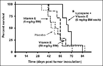 Combinatie lycopeen en vitamine E remt prostaatkanker in dierstudie