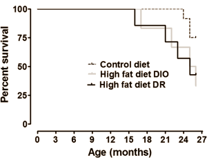 Dierstudie: koolhydraatarm dieet met veel verzadigde vetzuren verkort levensduur